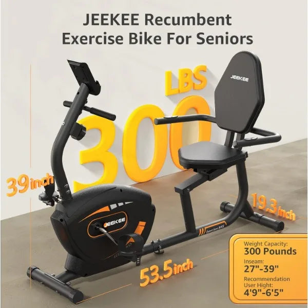 Recumbent Exercise Bike Magnetic Indoor Cycling Fitness Equipment for Home Adults